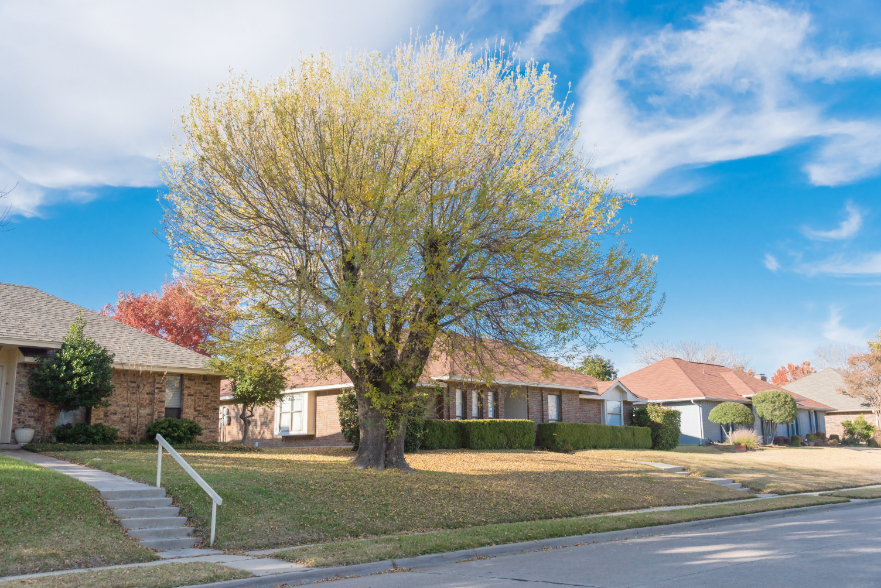 Dallas suburbs bungalow style houses